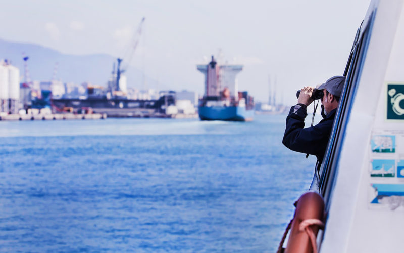 Giri turistici in battello