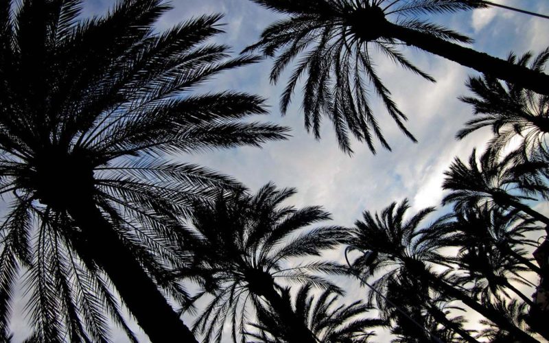 Non solo mare nel Porto Antico