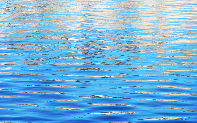 8° Forum Parmenides a Genova.