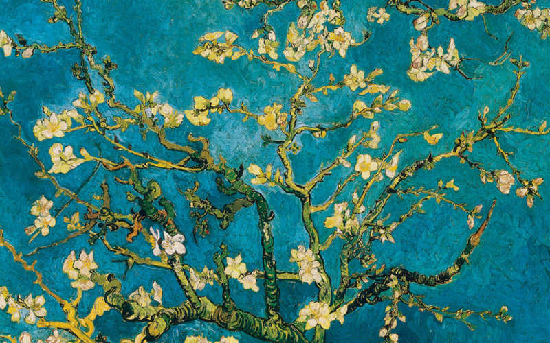 Van Gogh Alive – The Experience: un nuovo modo di vivere l’arte