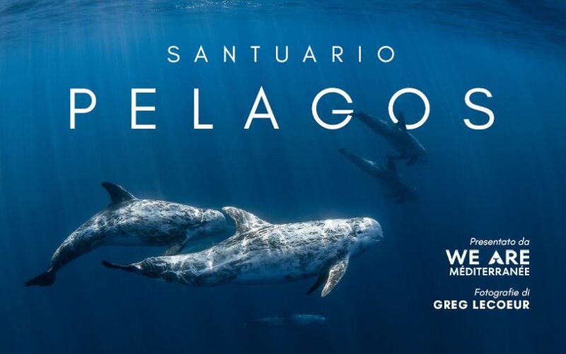 We Are Méditerrané: Mostra fotografica itinerante