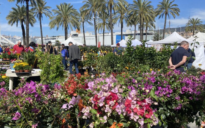 APERTE LE ISCRIZIONI A PORTO ANTICO VERDE 2026